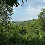 Westerwaldnest
