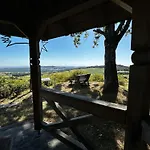 Westerwaldnest