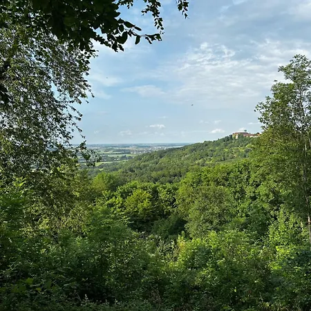 Westerwaldnest